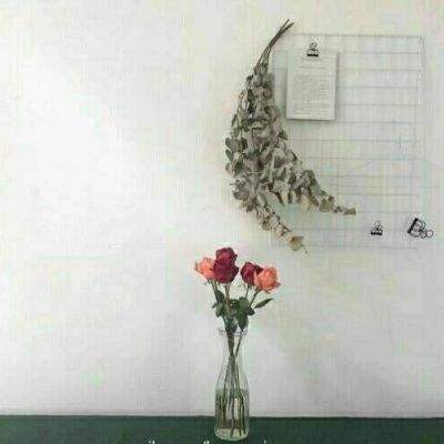 49游手游蜀山战纪下载